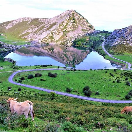 فيلا Casa Vacacional Paula يانس المظهر الخارجي الصورة