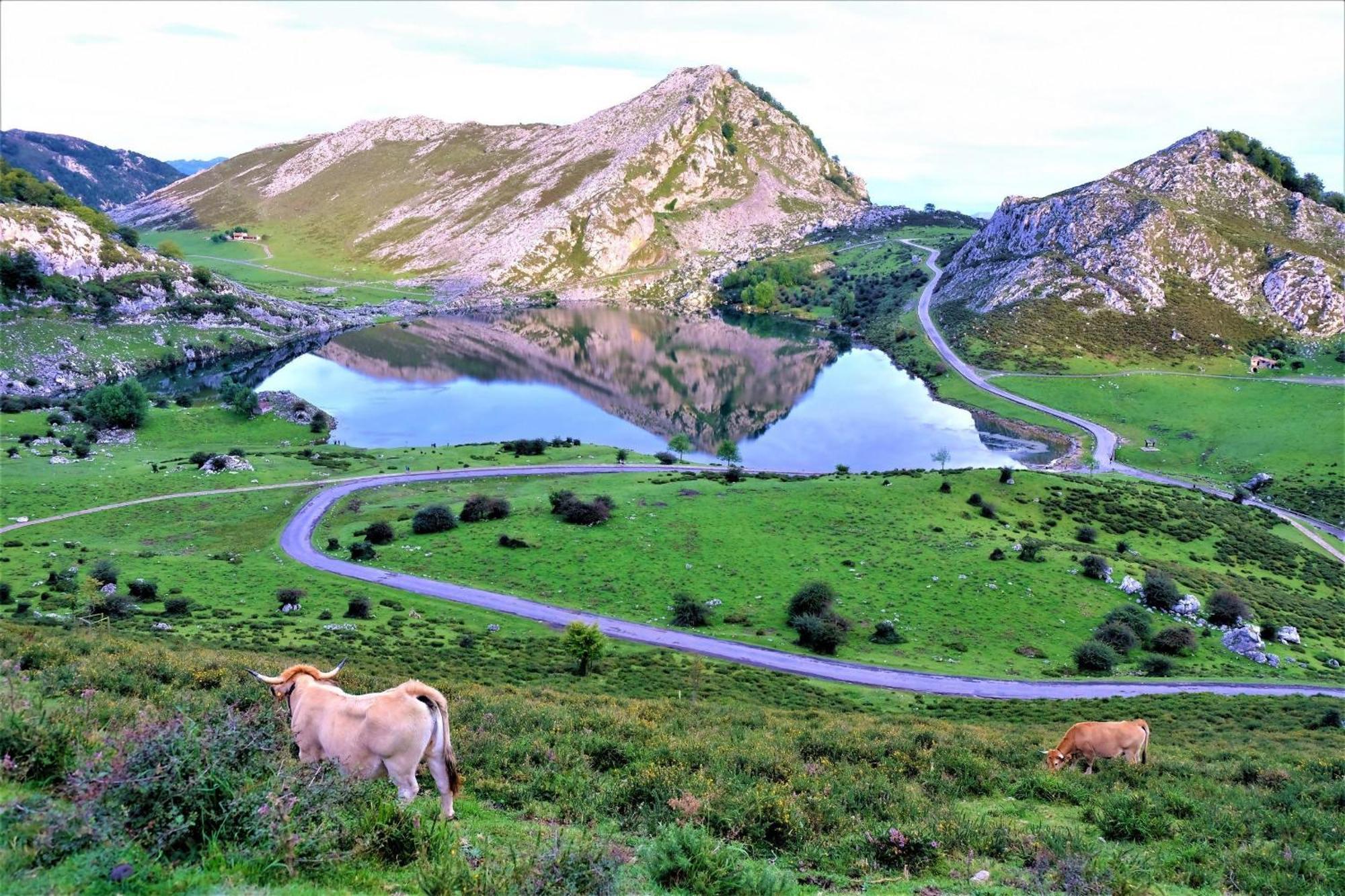 فيلا Casa Vacacional Paula يانس المظهر الخارجي الصورة